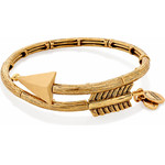 Alex And Ani Bracelet Women (20CM ) - (V16W02RG)