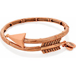 Alex And Ani Bracelet Women (20CM ) - (V16W02ROG)