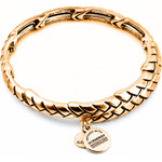Alex And Ani Bracelet Women (20CM ) - (V16W03RG)