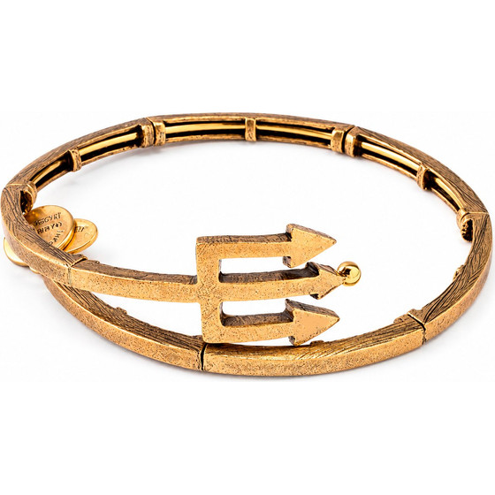 Alex And Ani Bracelet Women (20CM ) - (V16W30RG)