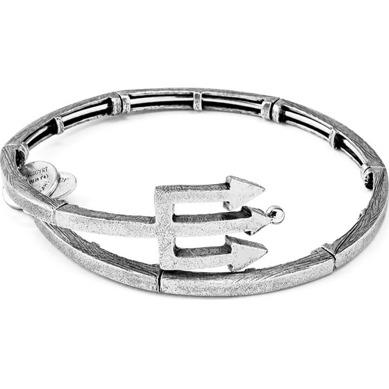 Alex And Ani Bracelet Women (20CM ) - (V16W30RS)