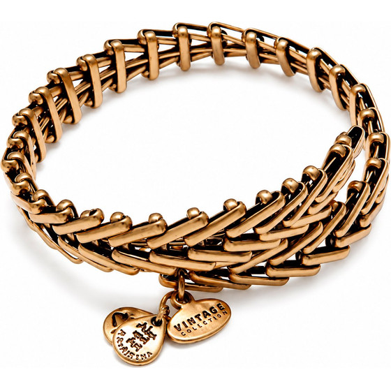 Alex And Ani Bracelet Women (20CM ) - (VW112RG)