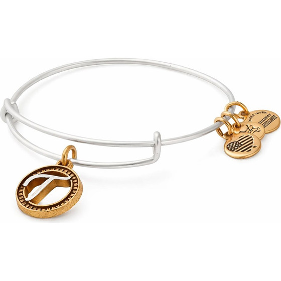 Alex And Ani Bracelet Women (25CM ) - (A18EBINT20TTR)