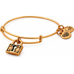 Alex And Ani Bracelet Women (25CM ) - (A18EBULRG)