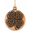 Alex And Ani Charm Women (2,5CM ) - (CS15C127)