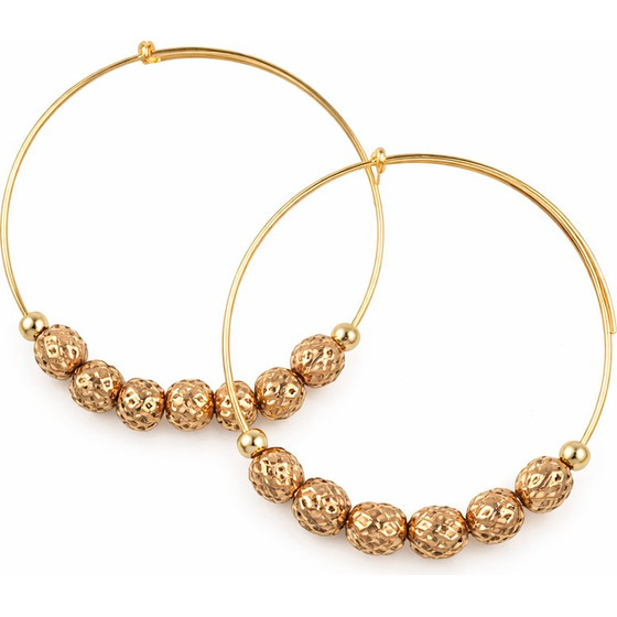Alex And Ani Earrings Women (19-25CM ) - (A10EH026RG)
