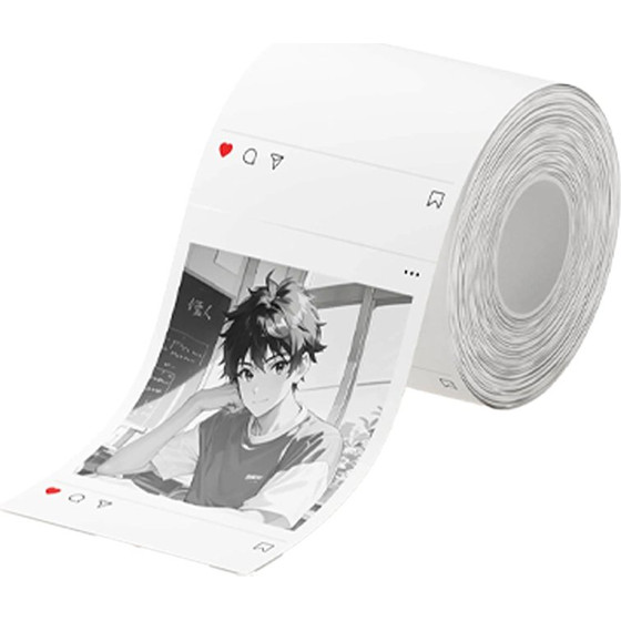 Niimbot Thermal Label T54*67-120SNs Colored White - (1EC01322803)