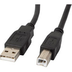 Lanberg Usb Cable 1 m 2.0 Usb B Black - (CA-USBA-11CC-0010-BK)