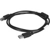 Lanberg Usb Cable 1 m 2.0 Usb B Black - (CA-USBA-11CC-0010-BK)