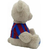 CYP �������� Teddy Bear With T Shirt 35��. Fc BARCELONA