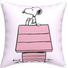 CYP �������� 35x11x35 SNOOPY