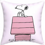 CYP �������� 35x11x35 SNOOPY