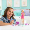 Mattel Barbie: Family & Friends (JMJ47)