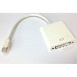 MINI DP TO DVI F CONVERTER ACULINE AD-002