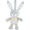 Chicco First Dreams: Lullaby Stardust Bunny - Nightlight Plush (Y01-11129-00)