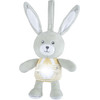 Chicco First Dreams: Lullaby Stardust Bunny - Nightlight Plush (Y01-11129-00)