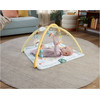 Fisher-Price: Simple Senses - Newborn Gym (JMN74)