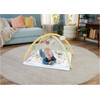 Fisher-Price: Simple Senses - Newborn Gym (JMN74)