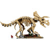 Lego Jurassic World Dinosaur Fossils: Triceratops - (77985)