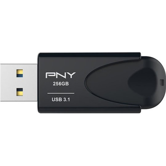 PNY FD256ATT431KK-EF