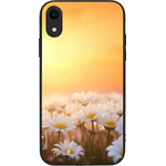 Sonique ���� Sunset in Eden Series ��� Apple iPhone XR Golden Daisy