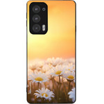 Sonique ���� Sunset in Eden Series ��� Motorola Edge 20 5G Golden Daisy
