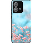 Sonique ���� Sunset in Eden Series ��� Motorola Edge 40 Neo 5G Baby's Breath