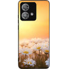 Sonique ���� Sunset in Eden Series ��� Motorola Edge 40 Neo 5G Golden Daisy