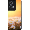 Sonique ���� Sunset in Eden Series ��� Motorola Edge 50 Fusion 5G Golden Daisy
