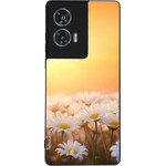 Sonique ���� Sunset in Eden Series ��� Motorola Edge 50 Fusion 5G Golden Daisy