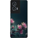 Sonique ���� Sunset in Eden Series ��� Motorola Edge 50 Fusion 5G Rhodo Garden