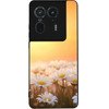 Sonique ���� Sunset in Eden Series ��� Motorola Edge 50 Ultra Golden Daisy