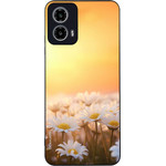Sonique ���� Sunset In Eden Series ��� Motorola Moto G34 5G Golden Daisy