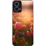 Sonique ���� Sunset In Eden Series ��� Motorola Moto G34 5G Tulip Velvet