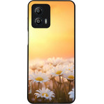 Sonique ���� Sunset In Eden Series ��� Motorola Moto G53 5G Golden Daisy