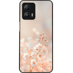 Sonique ���� Sunset In Eden Series ��� Motorola Moto G53 5G Zen Blossom