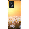 Sonique ���� Sunset In Eden Series ��� Motorola Moto G73 5G Golden Daisy