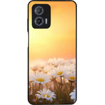 Sonique ���� Sunset In Eden Series ��� Motorola Moto G73 5G Golden Daisy