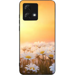 Sonique ���� Sunset In Eden Series ��� Motorola Moto G84 5G Golden Daisy