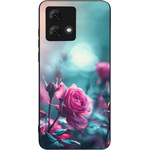 Sonique ���� Sunset In Eden Series ��� Motorola Moto G84 5G Morning Rose