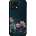 Sonique ���� Sunset In Eden Series ��� Motorola Moto G84 5G Rhodo Garden