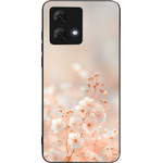 Sonique ���� Sunset In Eden Series ��� Motorola Moto G84 5G Zen Blossom