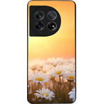 Sonique ���� Sunset In Eden Series ��� Oneplus 11 5G Golden Daisy