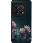 Sonique ���� Sunset In Eden Series ��� Oneplus 12 5G Rhodo Garden