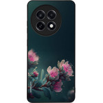 Sonique ���� Sunset In Eden Series ��� Oneplus 13R 5G Rhodo Garden