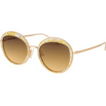 Ana Hickmann Sunglasses Women (Lens/Bridge/Temple) 53/21/145 mm) - (HI3052-53E03)