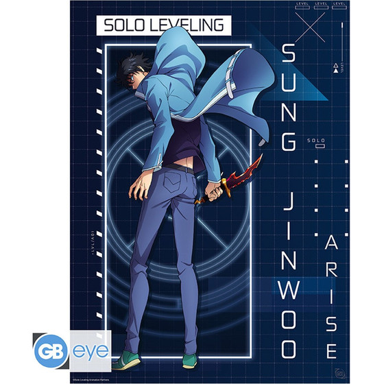 Abysse: Solo Leveling - Jinwoo Arise Chibi Poster (52X38cm) (GBYDCOA025)