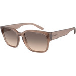 ARNETTE Sunglasses Man (Lens/Bridge/Temple) 53/21/145 mm) - (AN4325-290613)