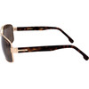 Carrera Sunglasses 8063/S Aoz (61/16/135) - (CARRERA 8063/S)