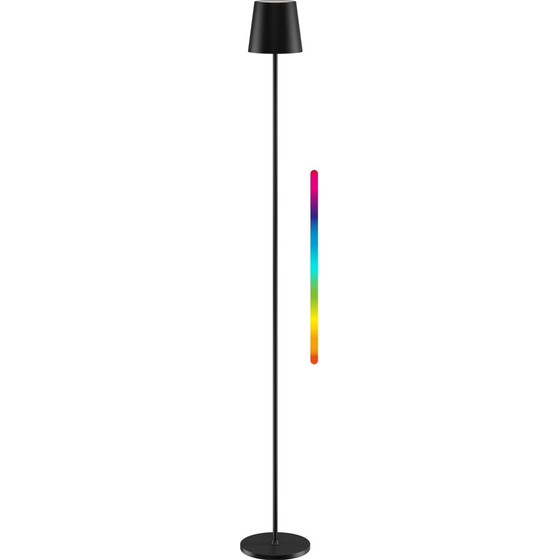 Goobay Wireless Led Floor Lamp, Size XL, 122 cm, RGBW, Black - (76573)